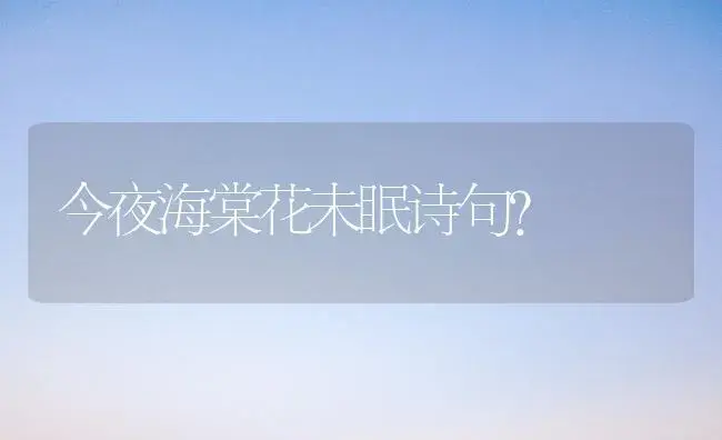 今夜海棠花未眠诗句？ | 绿植常识