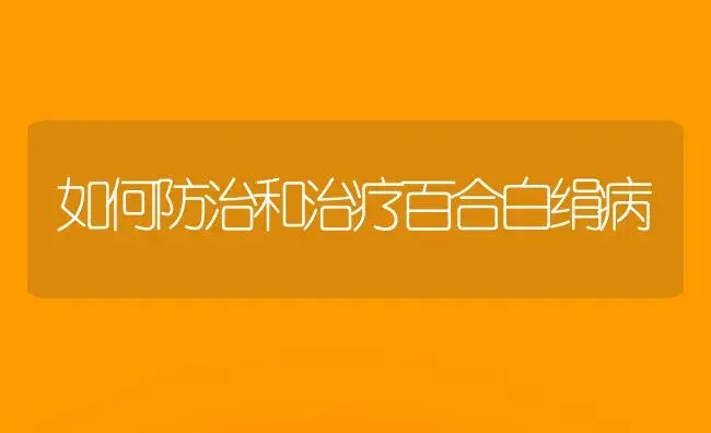 如何防治和治疗百合白绢病 | 家庭养花