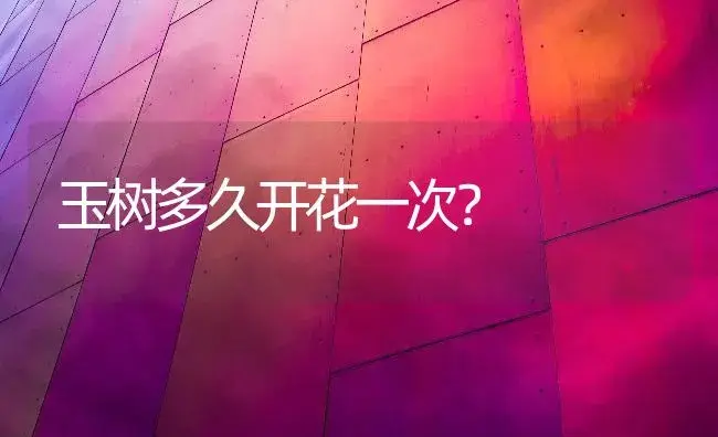 玉树多久开花一次？ | 多肉养殖