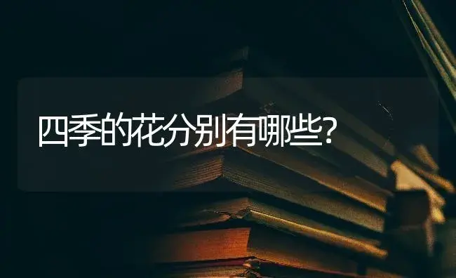 关于写花语的标题？ | 绿植常识