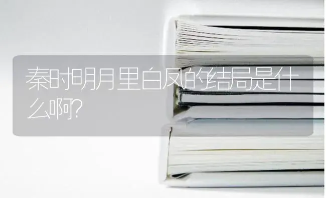 秦时明月里白凤的结局是什么啊？ | 多肉养殖