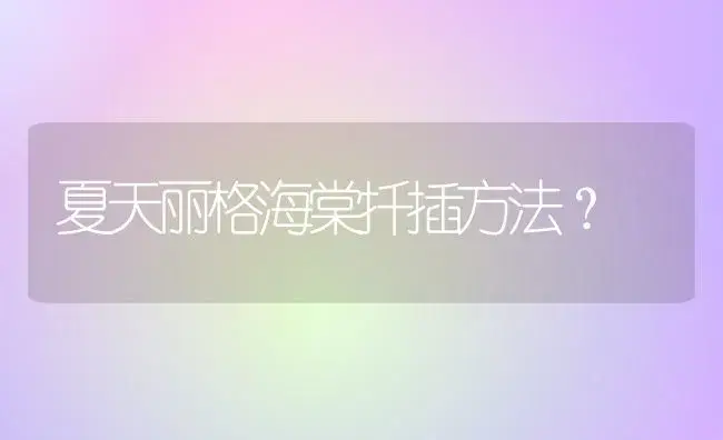 康乃馨能用松树壳吗？ | 绿植常识