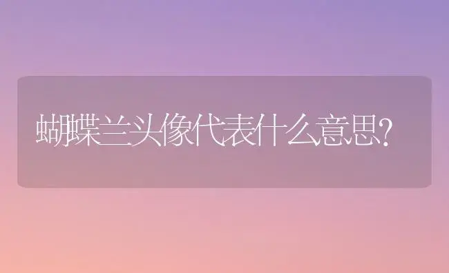 蝴蝶兰头像代表什么意思？ | 绿植常识