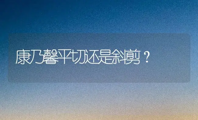 康乃馨平切还是斜剪？ | 绿植常识