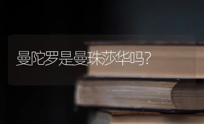 曼陀罗是曼珠莎华吗？ | 绿植常识