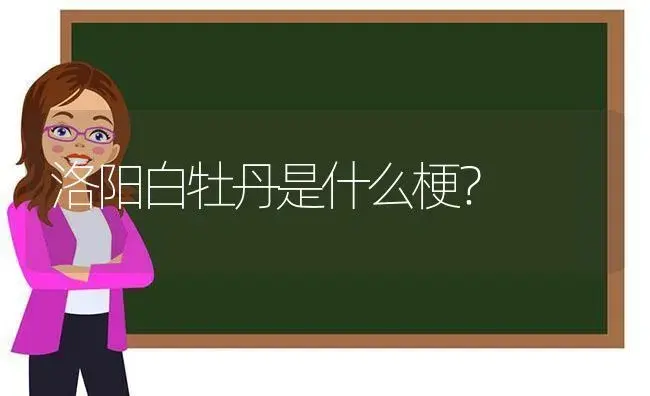 洛阳白牡丹是什么梗？ | 多肉养殖