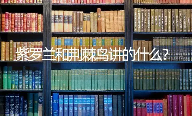 紫罗兰和荆棘鸟讲的什么？ | 绿植常识