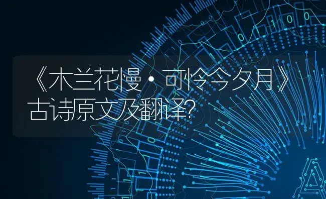 《木兰花慢·可怜今夕月》古诗原文及翻译？ | 多肉养殖