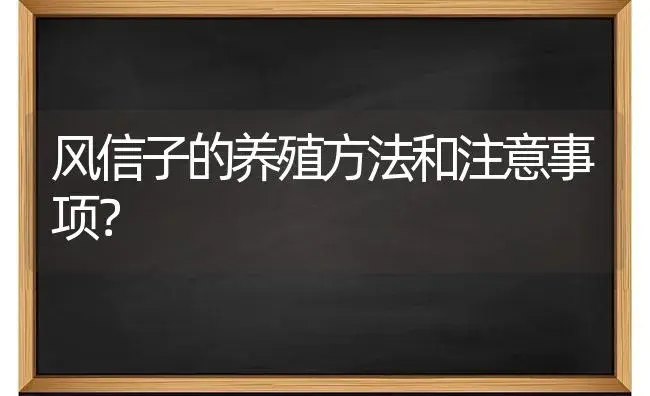 风信子的养殖方法和注意事项？ | 绿植常识