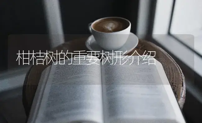 柑桔树的重要树形介绍 | 特种种植