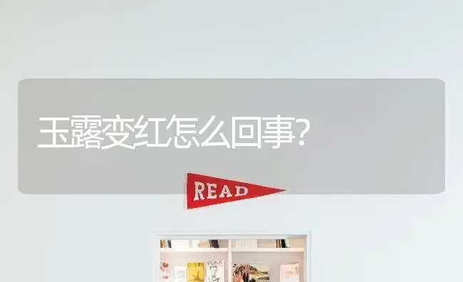 玉露变红怎么回事？ | 多肉养殖