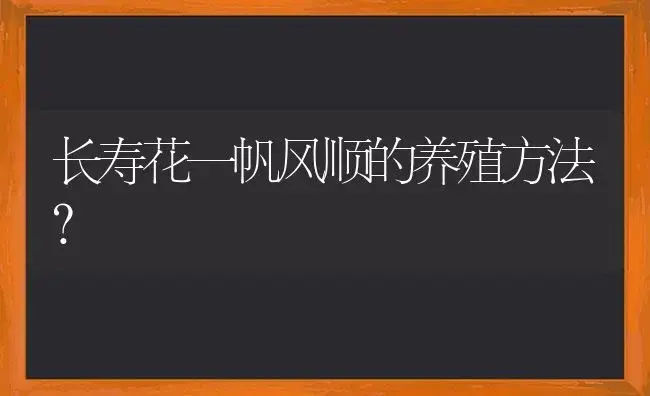 长寿花一帆风顺的养殖方法？ | 多肉养殖