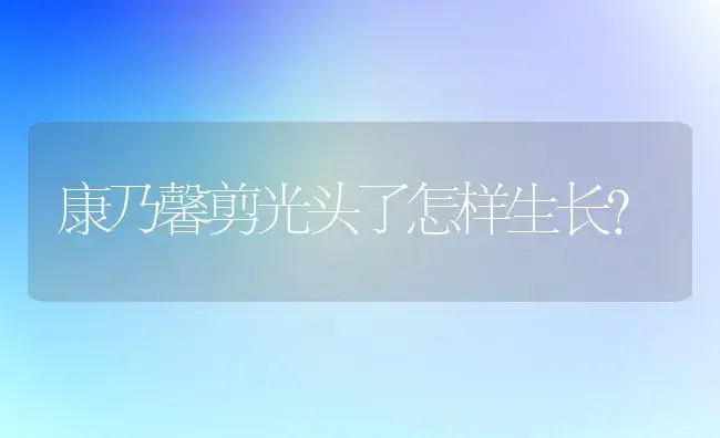 康乃馨剪光头了怎样生长？ | 绿植常识