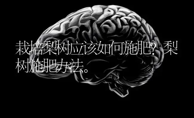 栽培梨树应该如何施肥？梨树施肥办法。 | 果木种植