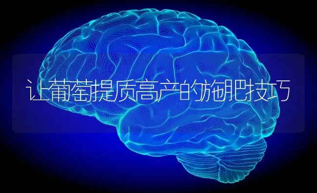 让葡萄提质高产的施肥技巧 | 果木种植