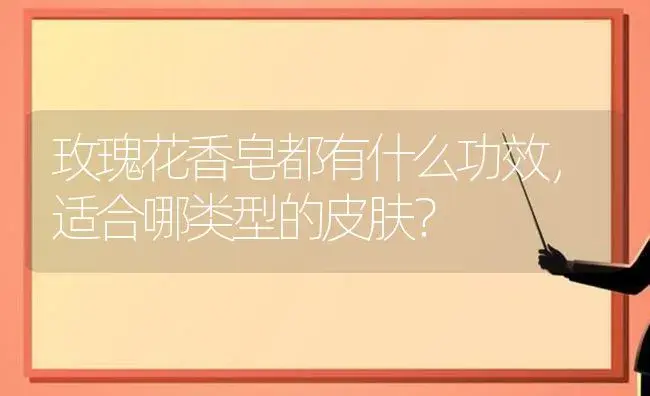 玫瑰花香皂都有什么功效，适合哪类型的皮肤？ | 绿植常识