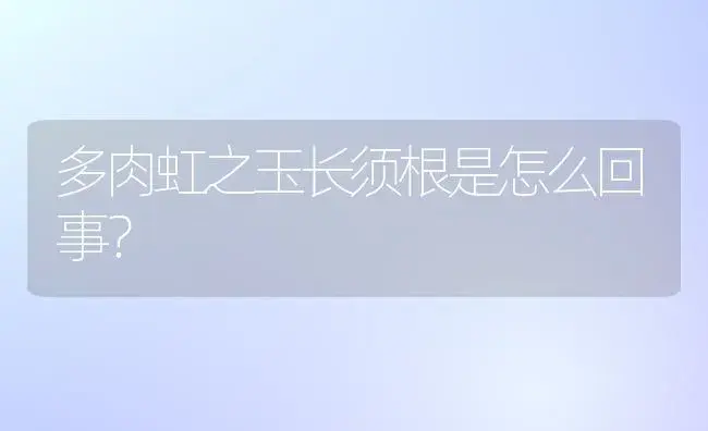 多肉虹之玉长须根是怎么回事？ | 多肉养殖