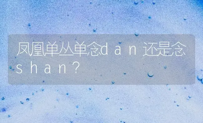 凤凰单丛单念dan还是念shan？ | 多肉养殖