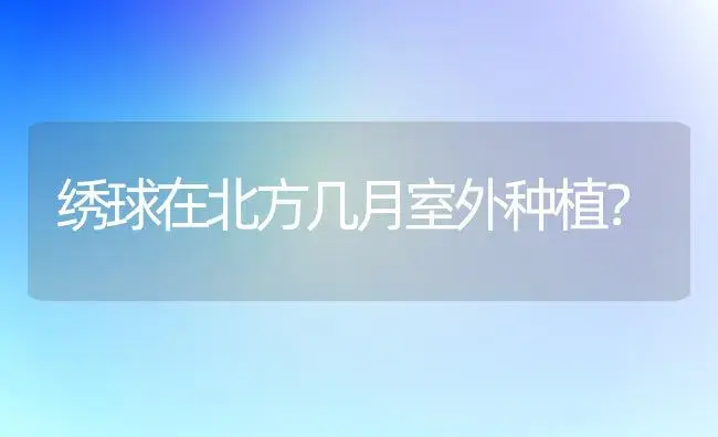 绣球在北方几月室外种植？ | 绿植常识