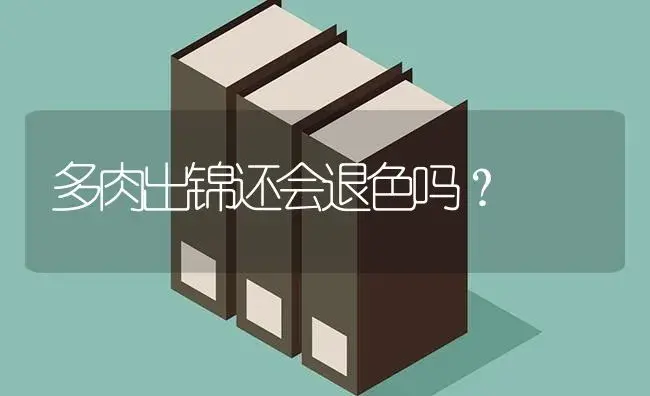 多肉出锦还会退色吗？ | 多肉养殖