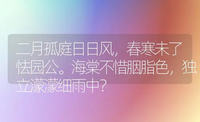 二月孤庭日日风，春寒未了怯园公。海棠不惜胭脂色，独立濛濛细雨中？ | 绿植常识