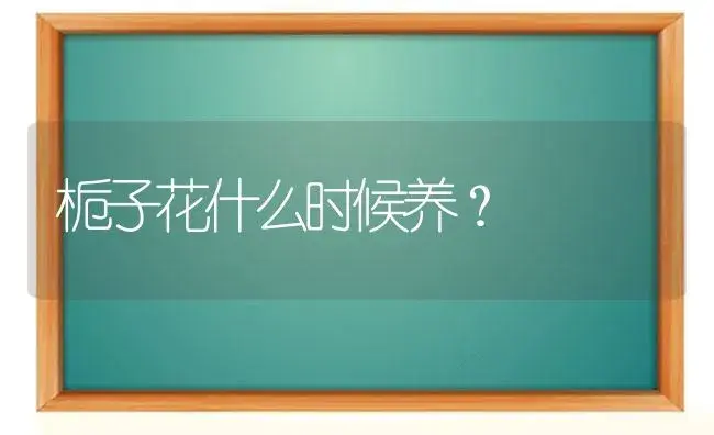 栀子花什么时候养？ | 绿植常识