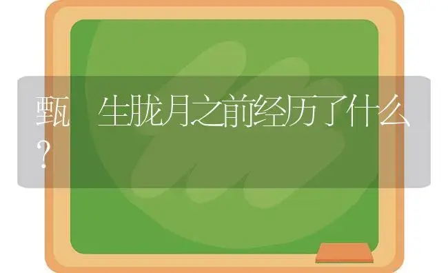 甄嬛生胧月之前经历了什么？ | 多肉养殖