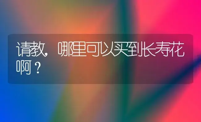 请教,哪里可以买到长寿花啊？ | 多肉养殖