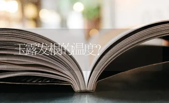 玉露发根的温度？ | 多肉养殖