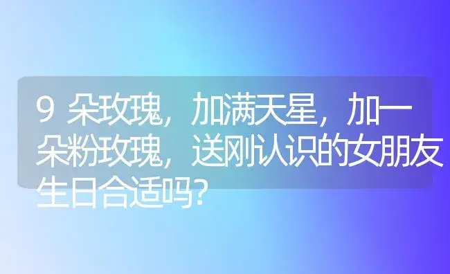 9朵玫瑰，加满天星，加一朵粉玫瑰，送刚认识的女朋友生日合适吗？ | 绿植常识