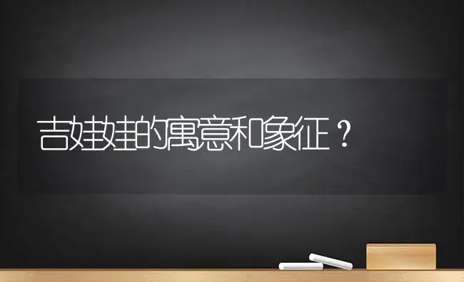 吉娃娃的寓意和象征？ | 多肉养殖