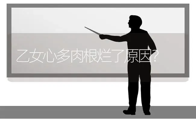 乙女心多肉根烂了原因？ | 多肉养殖