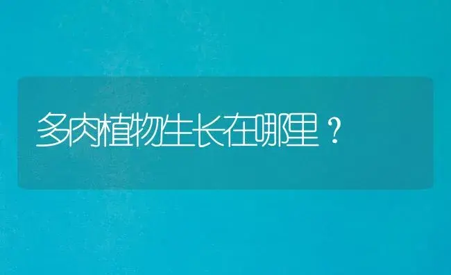 多肉植物生长在哪里？ | 多肉养殖