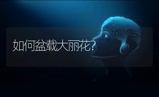 如何盆载大丽花？ | 特种种植