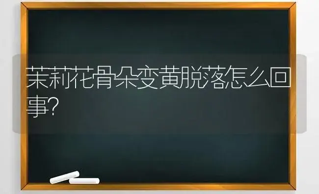 茉莉花骨朵变黄脱落怎么回事？ | 绿植常识