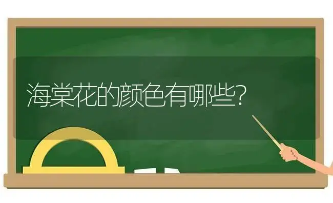 郁金香土种和水培一样的苗吗？ | 绿植常识