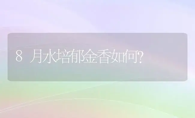 养兰花的盆可以养君子兰吗？ | 绿植常识