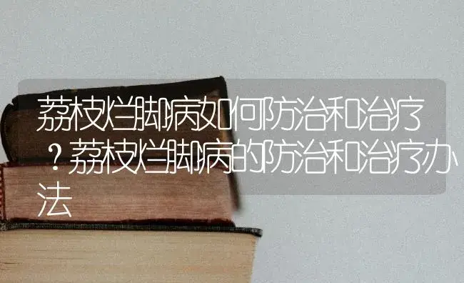 荔枝烂脚病如何防治和治疗？荔枝烂脚病的防治和治疗办法 | 果木种植