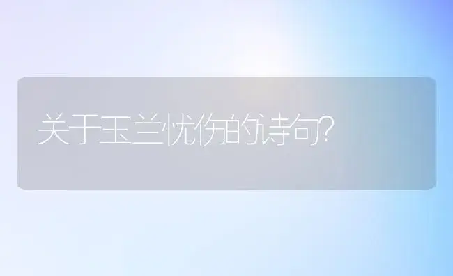 关于玉兰忧伤的诗句？ | 绿植常识