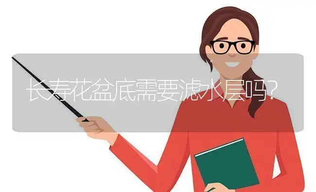 长寿花盆底需要滤水层吗？ | 多肉养殖