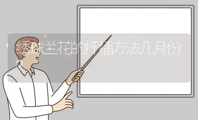 绣球兰花的扦插方法几月份？ | 绿植常识