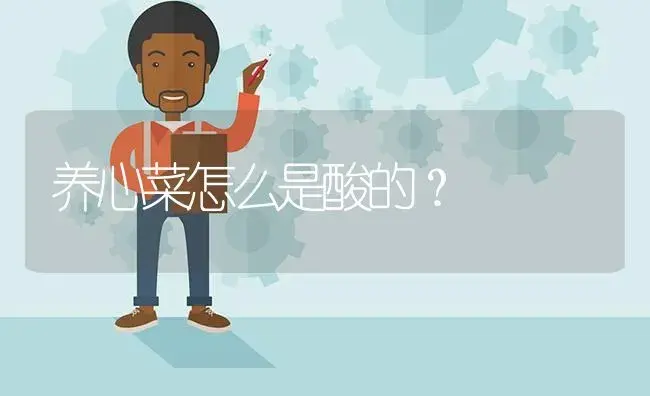 养心菜怎么是酸的？ | 多肉养殖