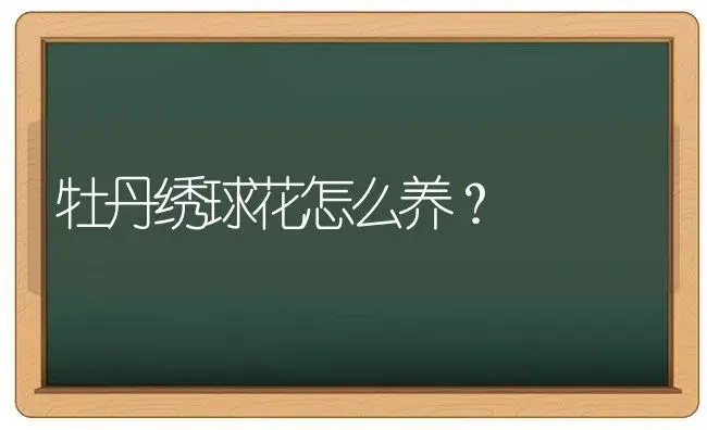 牡丹绣球花怎么养？ | 绿植常识