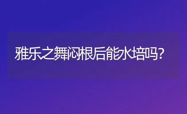 雅乐之舞闷根后能水培吗？ | 多肉养殖