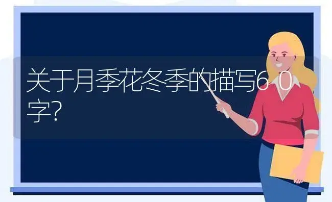 关于月季花冬季的描写60字？ | 绿植常识