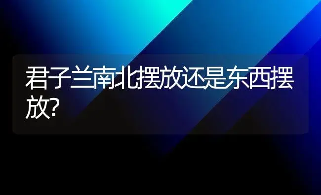 君子兰南北摆放还是东西摆放？ | 绿植常识