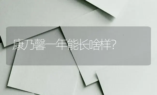 北方夏天养杜鹃花可以放北屋养吗？ | 绿植常识