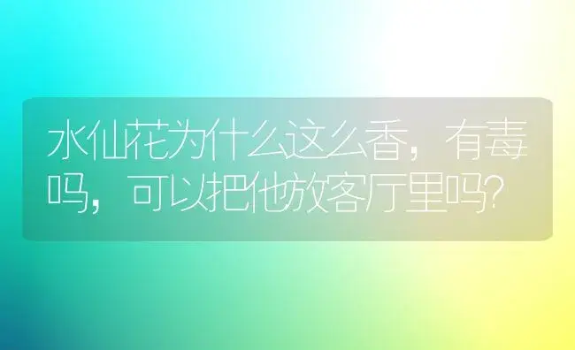 水仙花为什么这么香，有毒吗，可以把他放客厅里吗？ | 绿植常识