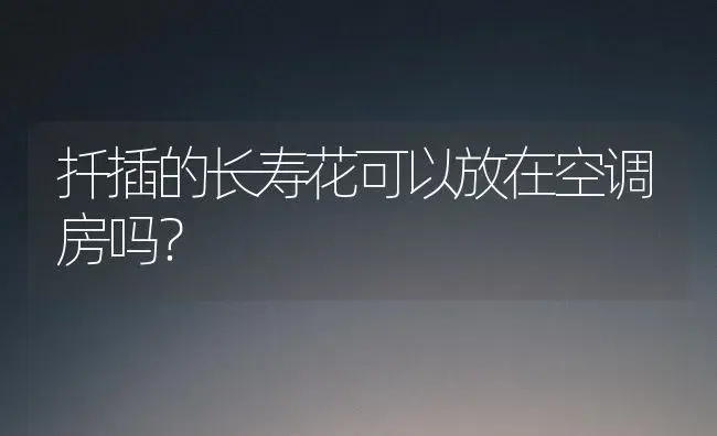 扦插的长寿花可以放在空调房吗？ | 多肉养殖