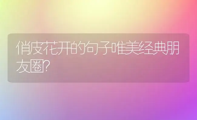 俏皮花开的句子唯美经典朋友圈？ | 绿植常识